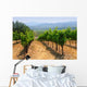Vineyards Napa California Wall Decal