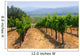 Vineyards Napa California Wall Decal