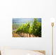 Vineyards California Wall Decal