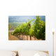 Vineyards California Wall Decal