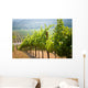 Vineyards California Wall Decal