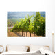 Vineyards California Wall Decal