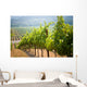 Vineyards California Wall Decal