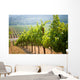 Vineyards California Wall Decal