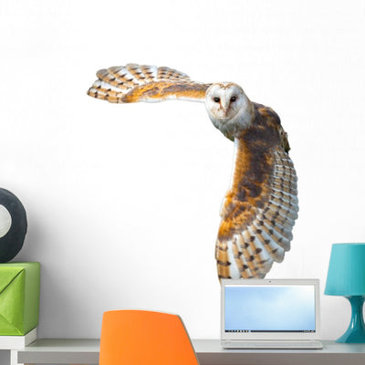 Flying Barn Owl Wall Decal shown on a wall