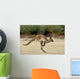 Kanguru Beim H Pfen Wall Decal