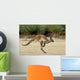 Kanguru Beim H Pfen Wall Decal