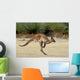 Kanguru Beim H Pfen Wall Decal