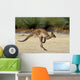 Kanguru Beim H Pfen Wall Decal