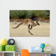 Kanguru Beim H Pfen Wall Decal