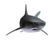 Shark 3D Render Wall Decal