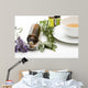 Herbal Medicine Wall Decal