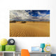 Gobi Desert Wall Decal