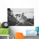 Ballerina Dancing Moscow Morning Wall Decal