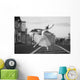 Ballerina Dancing Moscow Morning Wall Decal