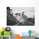 Ballerina Dancing Moscow Morning Wall Decal