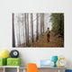 European Tourists Mountainous Tibet Wall Decal