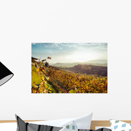 Vigne Delle Colline Delle Wall Decal