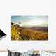 Vigne Delle Colline Delle Wall Decal