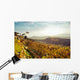 Vigne Delle Colline Delle Wall Decal