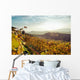 Vigne Delle Colline Delle Wall Decal
