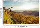 Vigne Delle Colline Delle Wall Decal