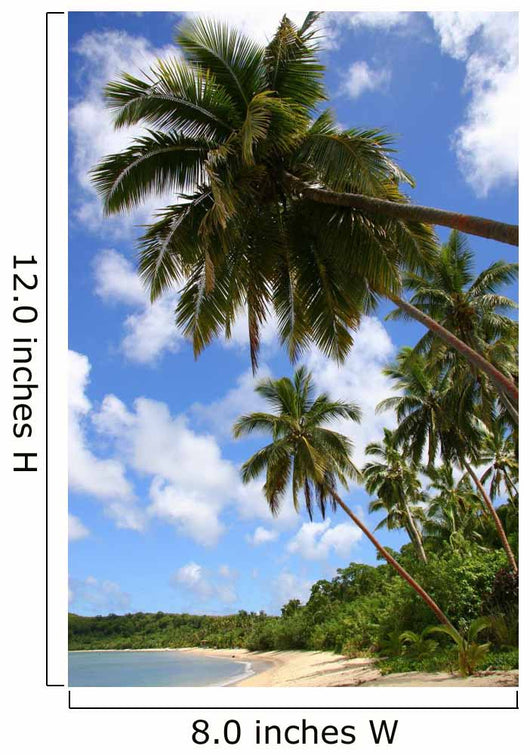 Tropical Dream Beach Paradise Wall Decal