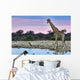 Giraffe Sunset Wall Decal