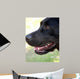 Labrador Wall Decal
