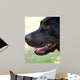 Labrador Wall Decal