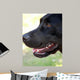 Labrador Wall Decal