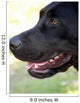 Labrador Wall Decal