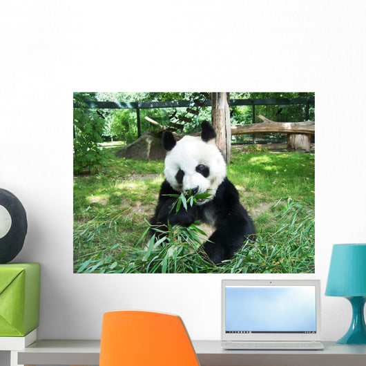 Panda Wall Decal