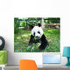 Panda Wall Decal