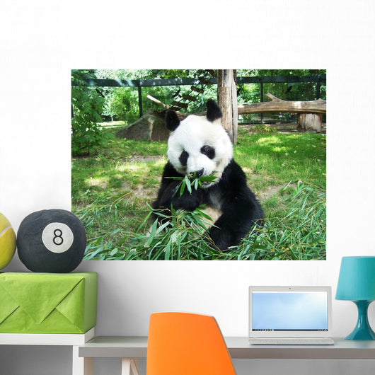 Panda Wall Decal