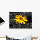 Yellow Flowers Arnica Wall Decal
