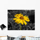 Yellow Flowers Arnica Wall Decal