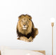 Male Lion Laying Down Wall Decal