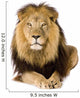 Male Lion Laying Down Wall Decal