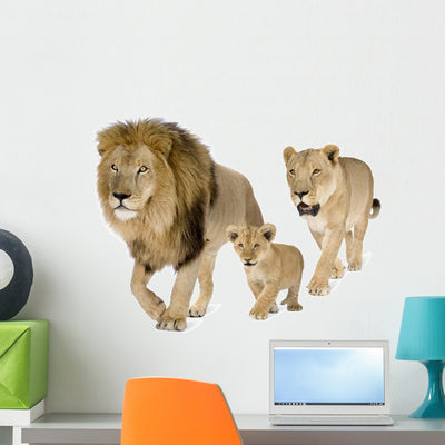 Lions Family Wall Decal shown on a wall