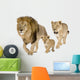 Lions Family Wall Decal