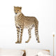 Cheetah Wall Decal