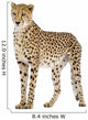 Cheetah Wall Decal