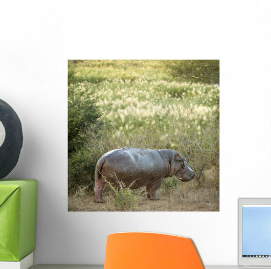 Hippopotamus in a Field Wall Decal