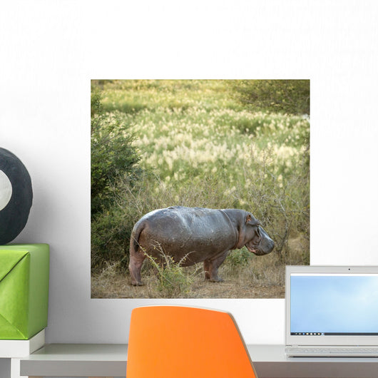 Hippopotamus in a Field Wall Decal