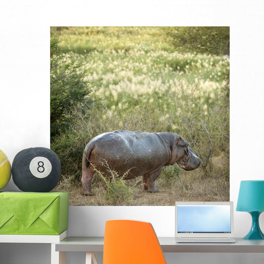 Hippopotamus in a Field Wall Decal