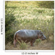 Hippopotamus in a Field Wall Decal