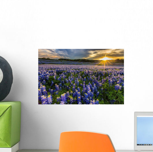Texas Bluebonnet Field Sunset Lens Flare Wall Decal