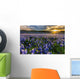 Texas Bluebonnet Field Sunset Lens Flare Wall Decal