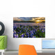 Texas Bluebonnet Field Sunset Lens Flare Wall Decal